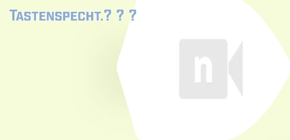 Tastenspecht